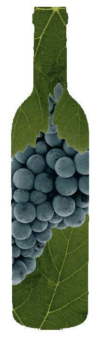 Cabernet franc